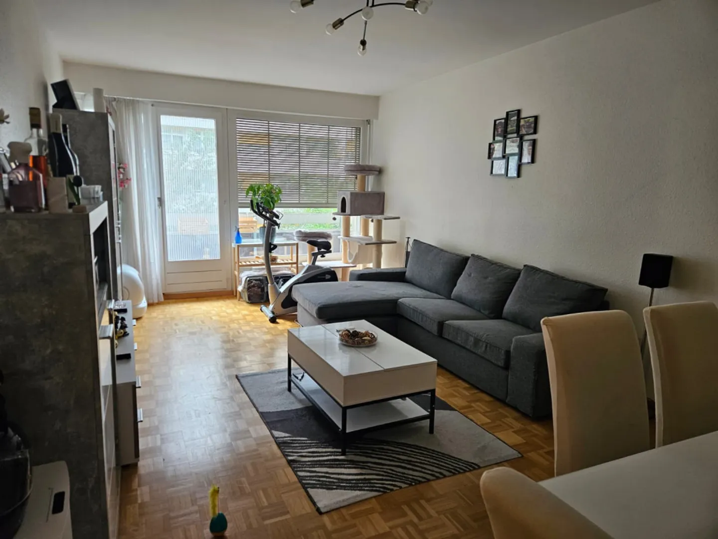 Charming Apartment in Geneva - Photo 1 of 8