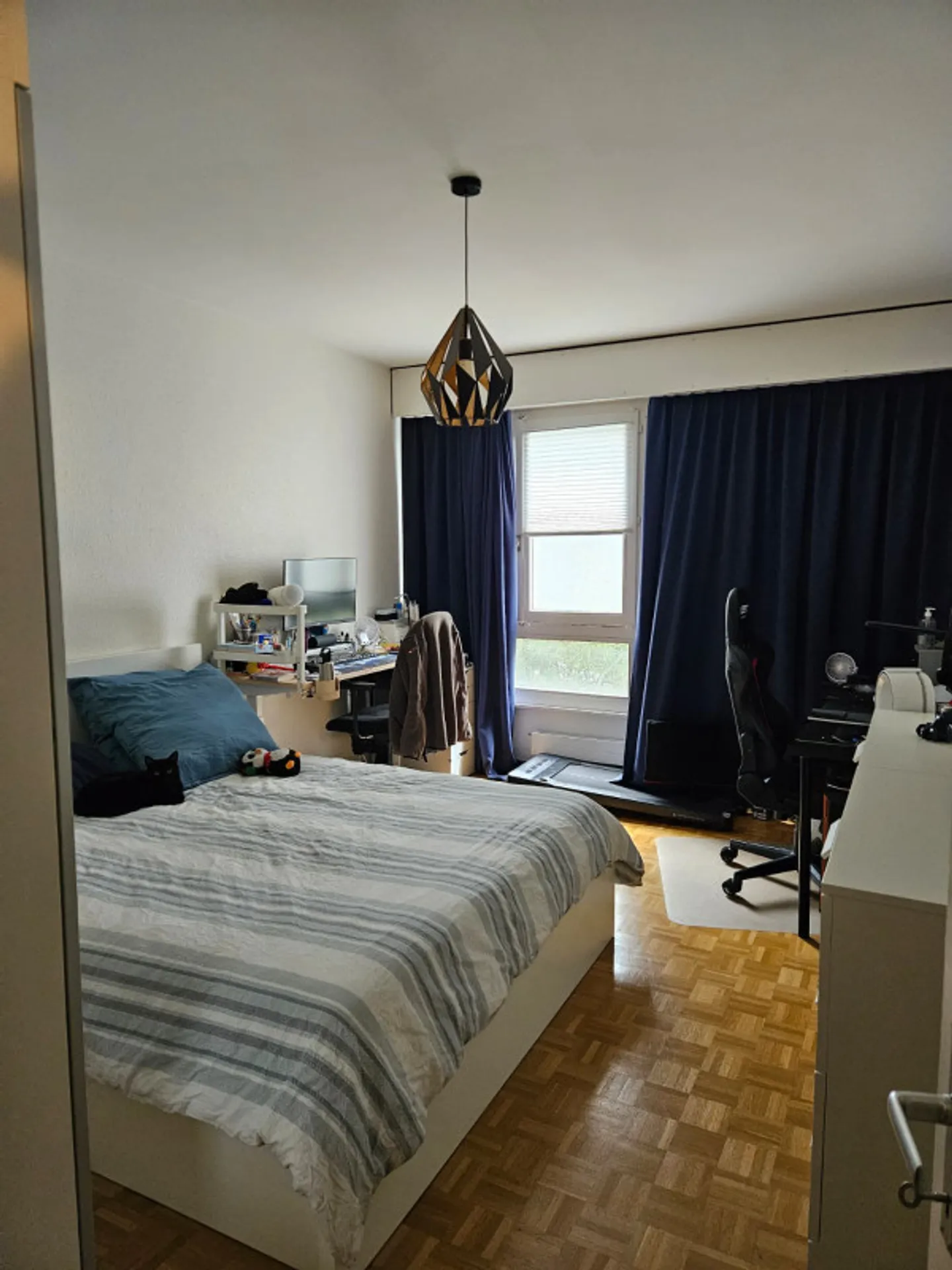 Charming Apartment in Geneva - Photo 4 of 8