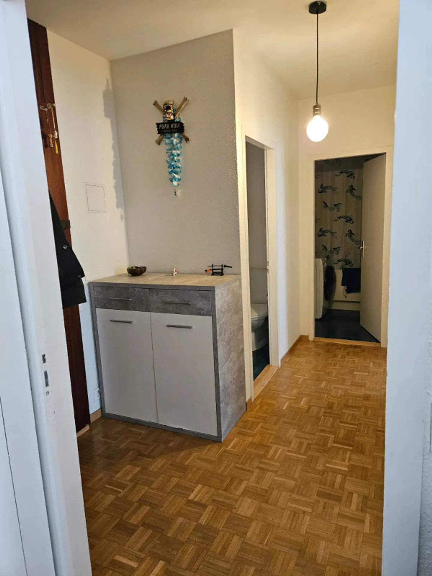 Charming Apartment in Geneva - Photo 5 of 8