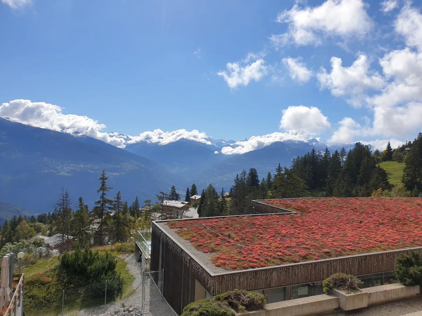 Affitti per le vacanze: Appartamento Shelby - Foto 1 di 13