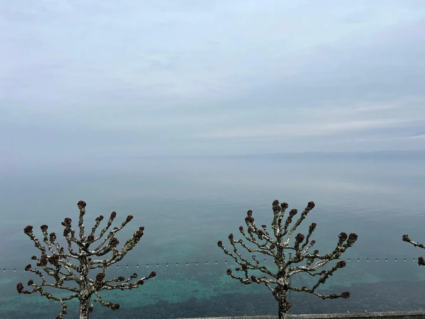 Very nice 3-room apartment with lake view - Quai de Versoix - Photo 3 of 7