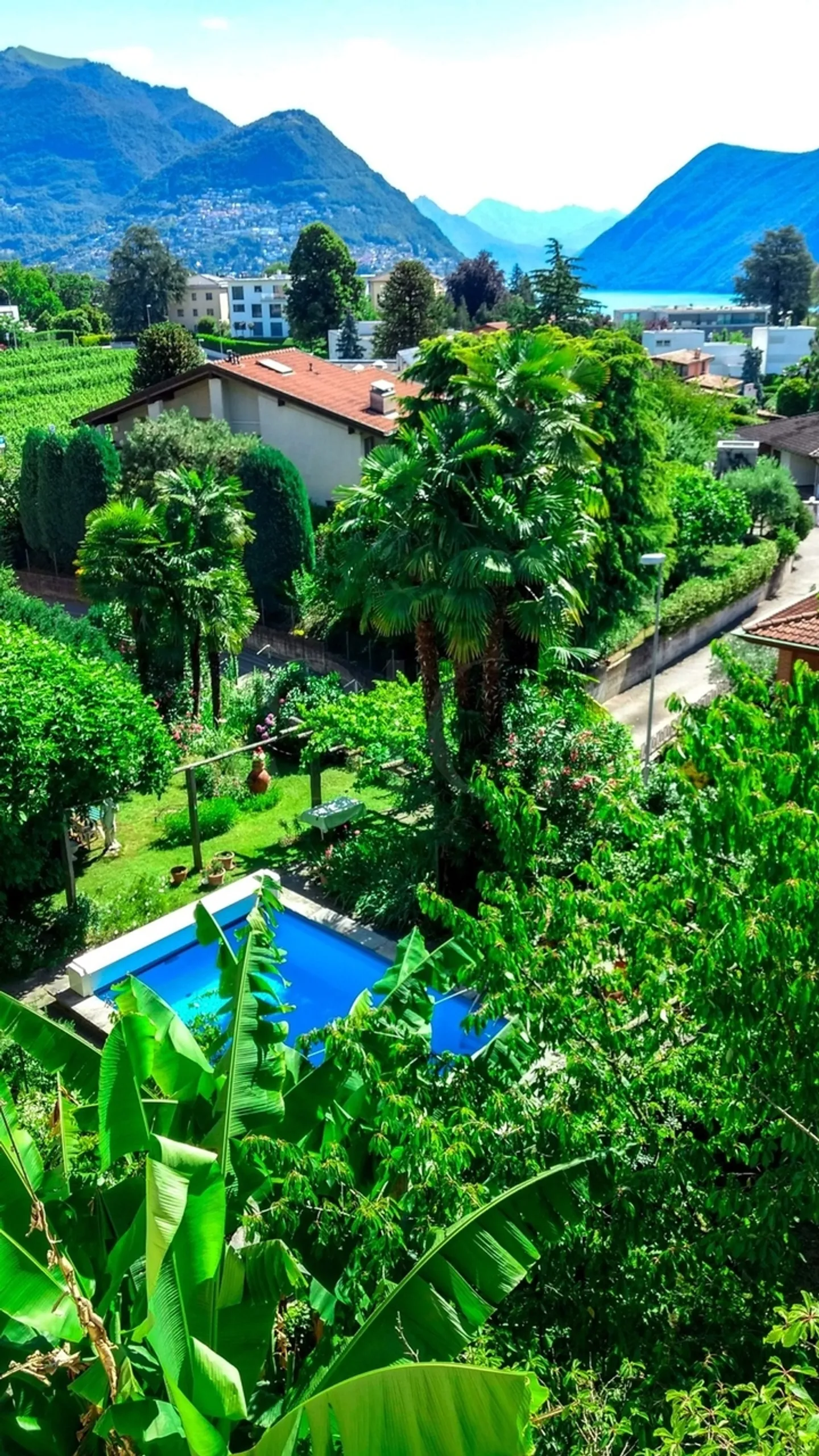 Casa singola in affitto - Foto 11 di 17