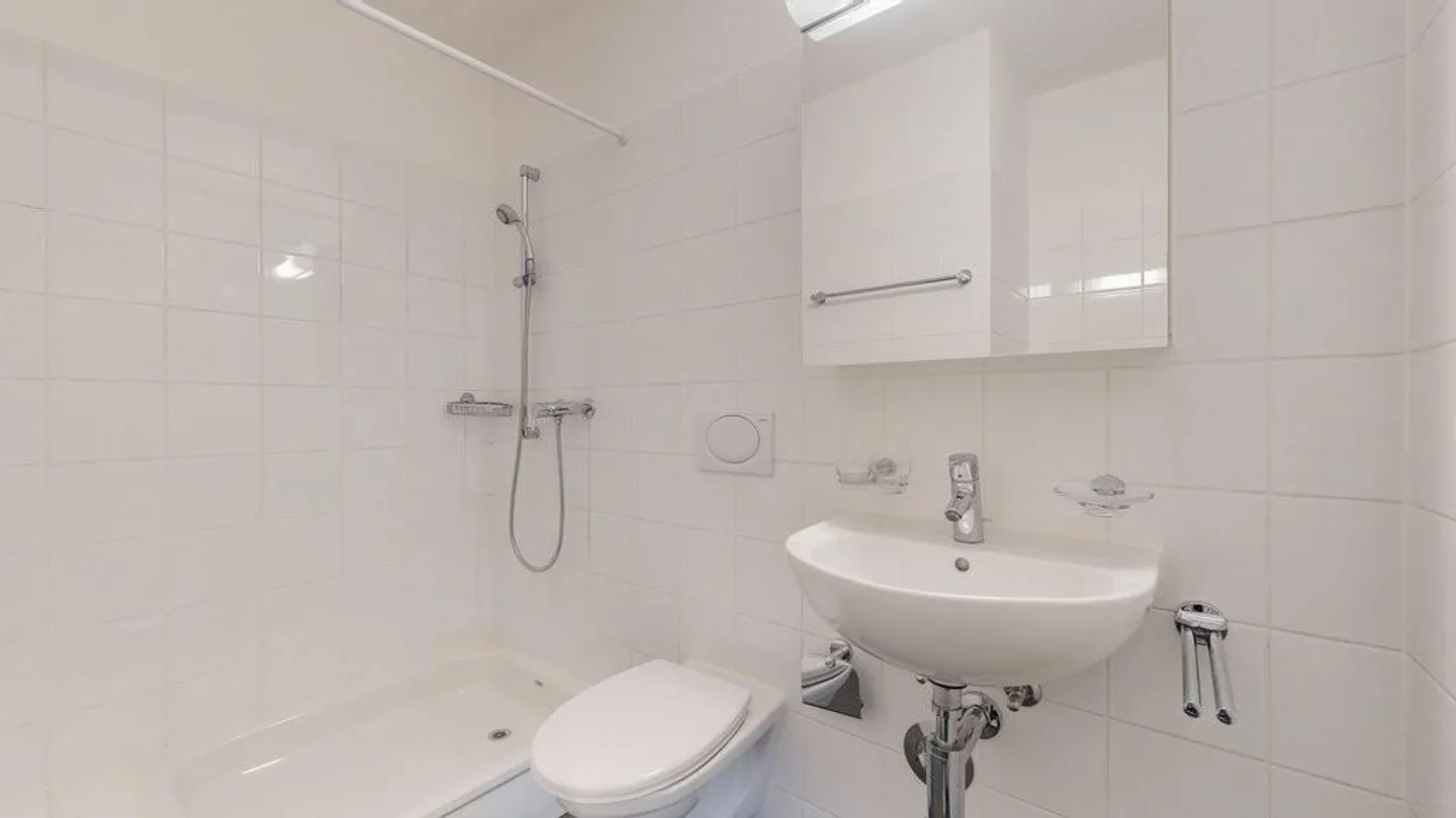 Attic Apartment on the Outskirts - Photo 9 of 12