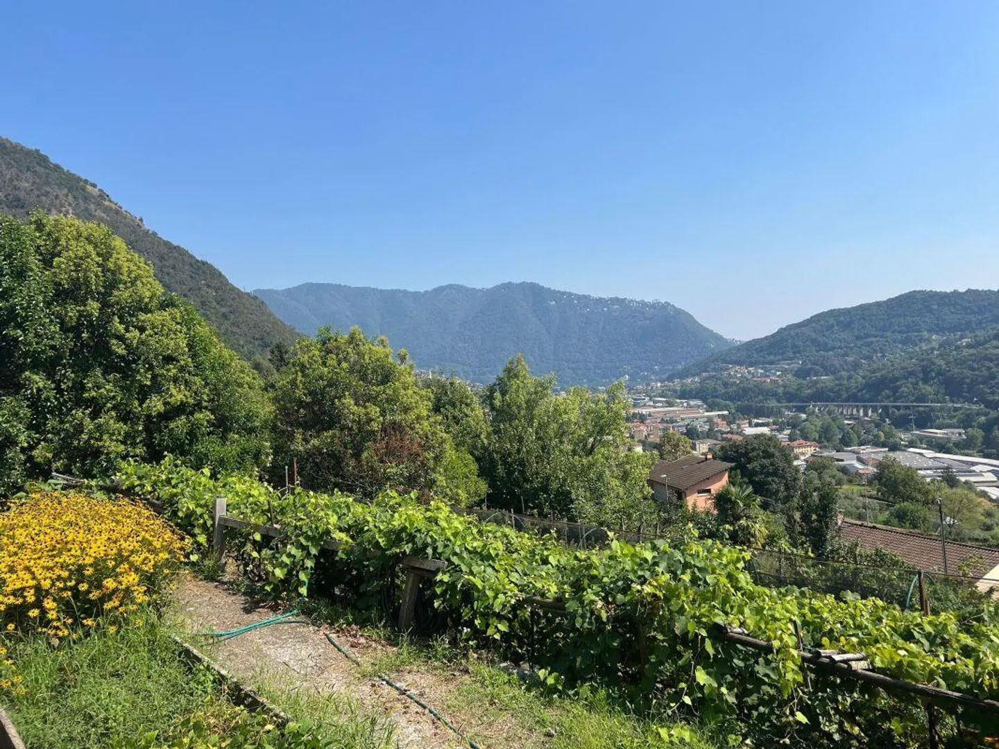 Terrain constructible avec vue ouverte - Photo 1 sur 2