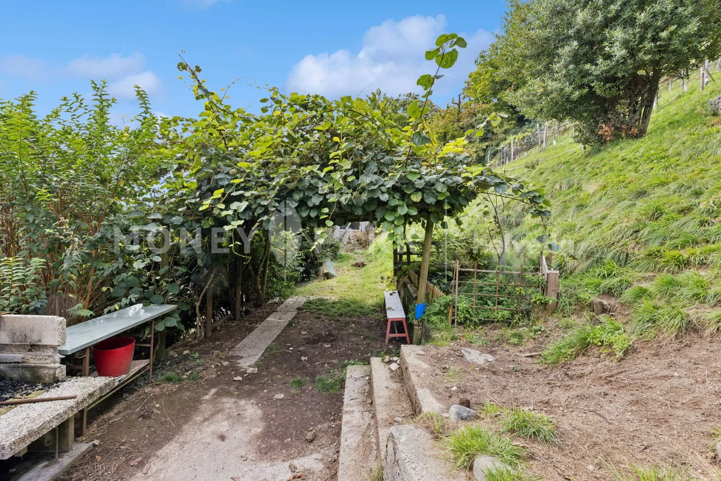 Maison individuelle spacieuse de 12 pièces dans un emplacement calme et proche de la nature - Photo 7 sur 12