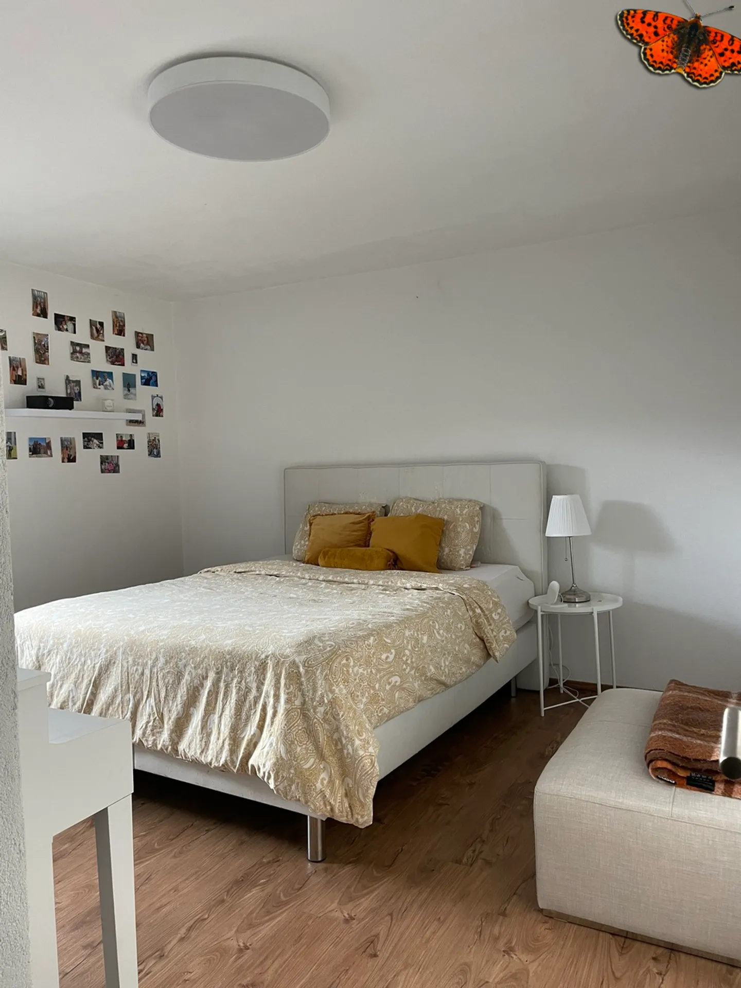Charming 2.5 room apartment in Châtel-St-Denis - Photo 8 of 10
