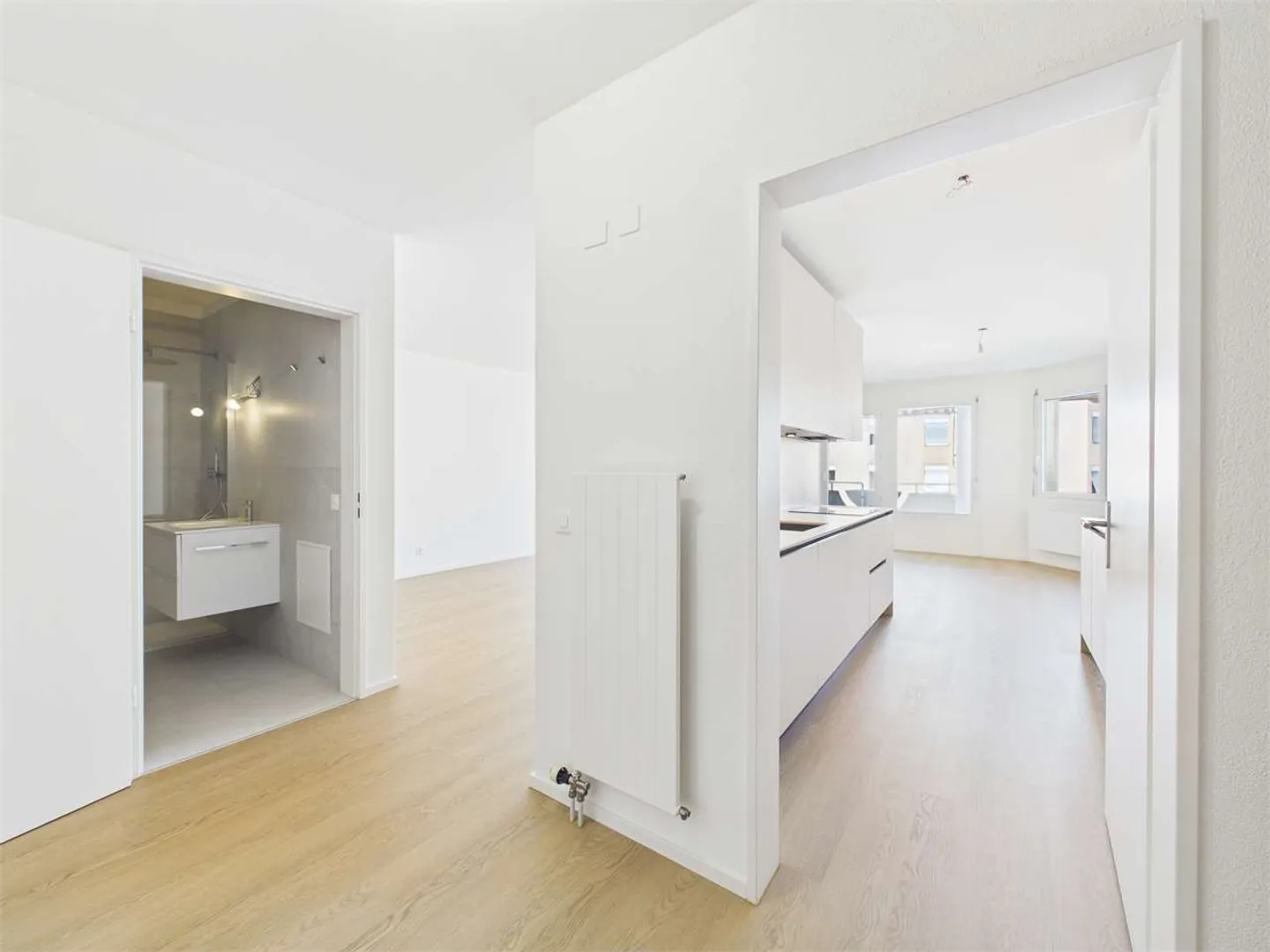 Spacious one-room apartment completely renovated - Photo 3 of 10