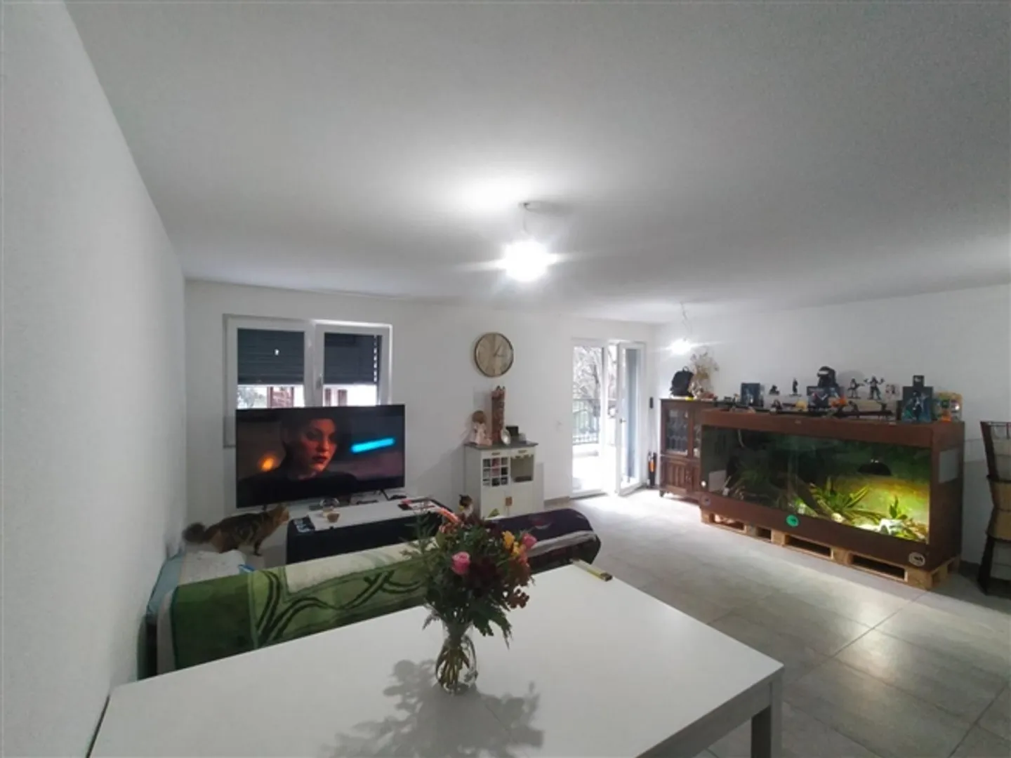Appartamento 2 1/2 in posizione tranquilla e soleggiata con bella vista - Foto 3 di 12