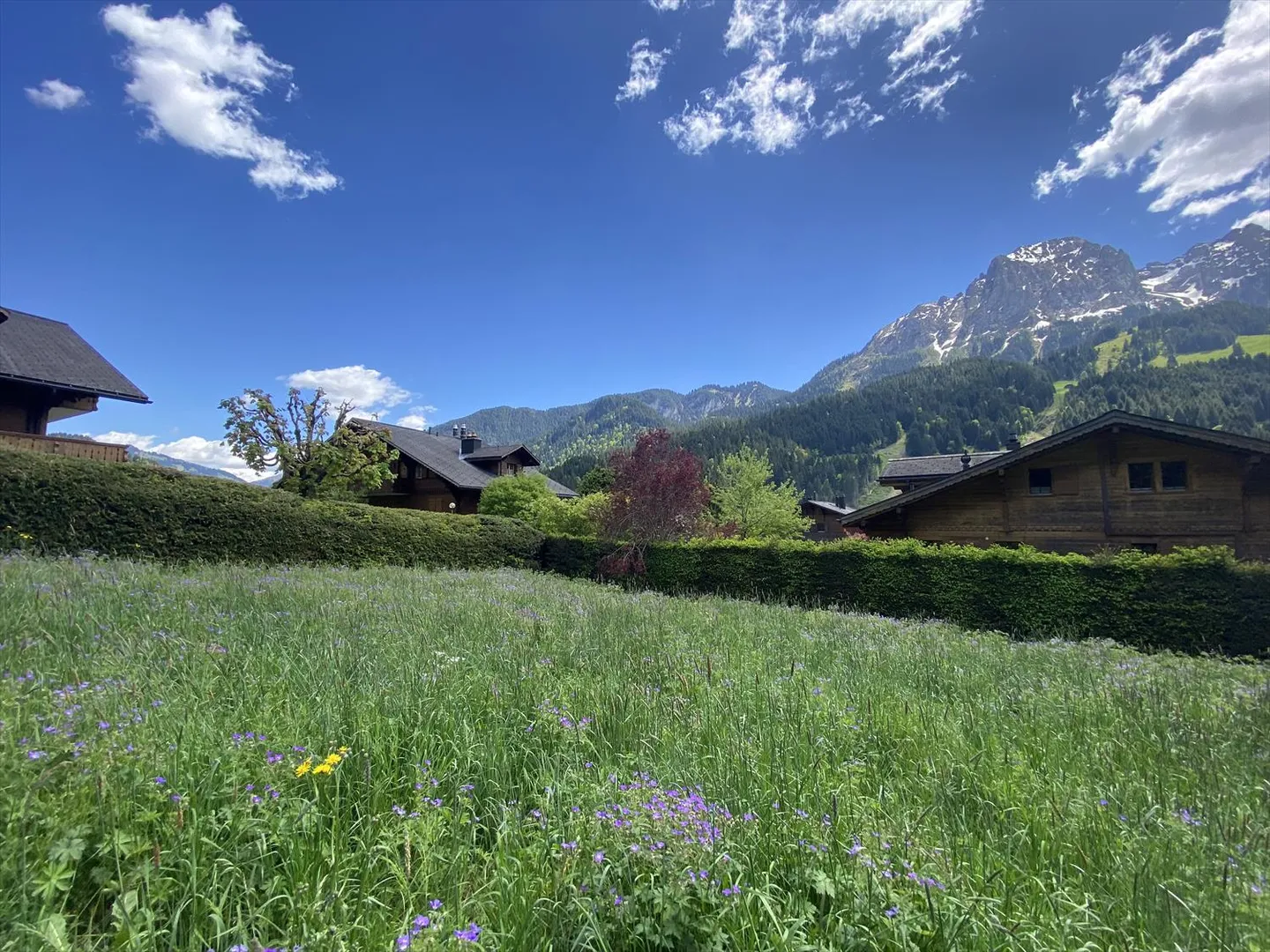 Building plot - Photo 2 of 9