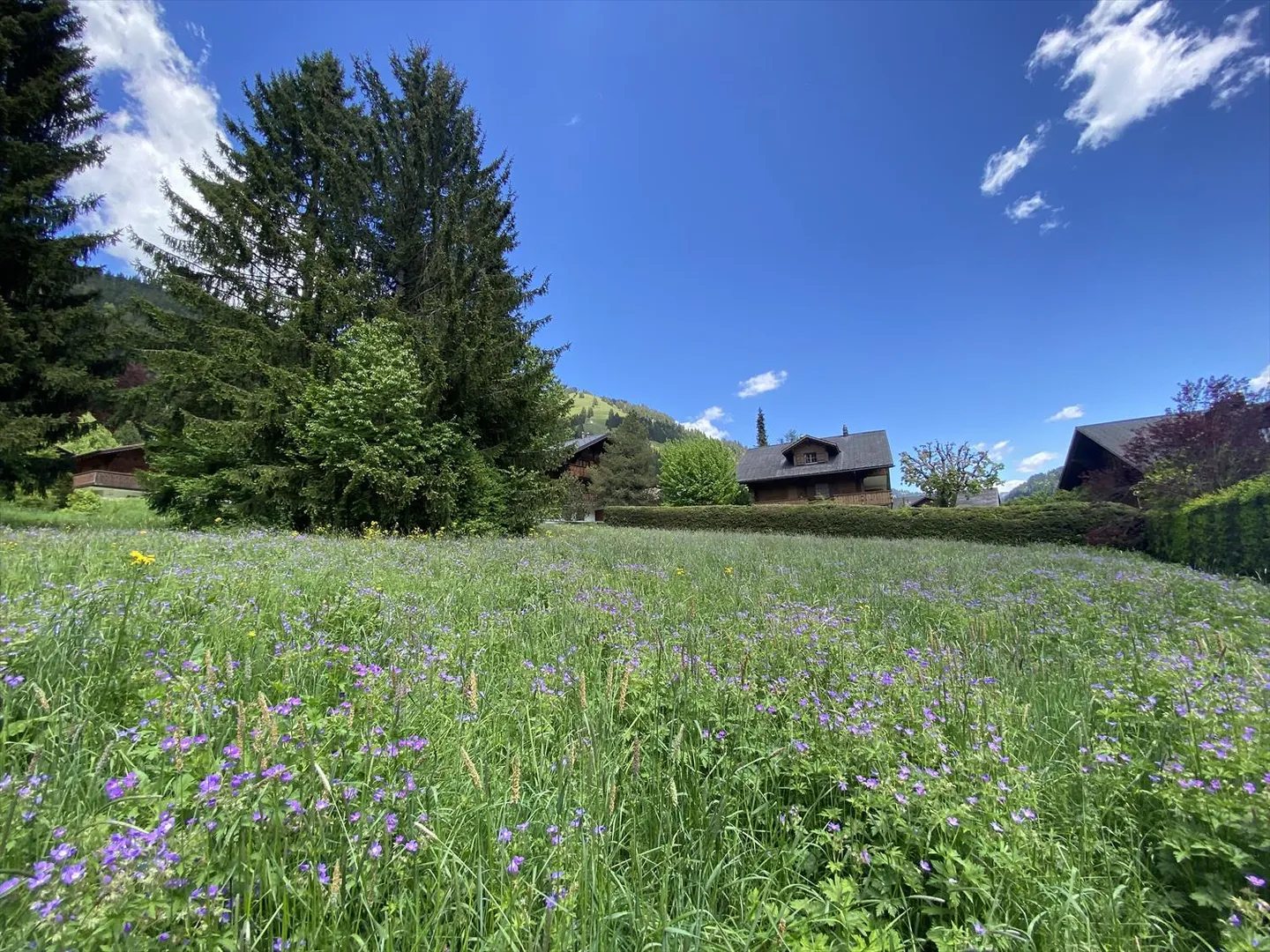 Building plot - Photo 4 of 9