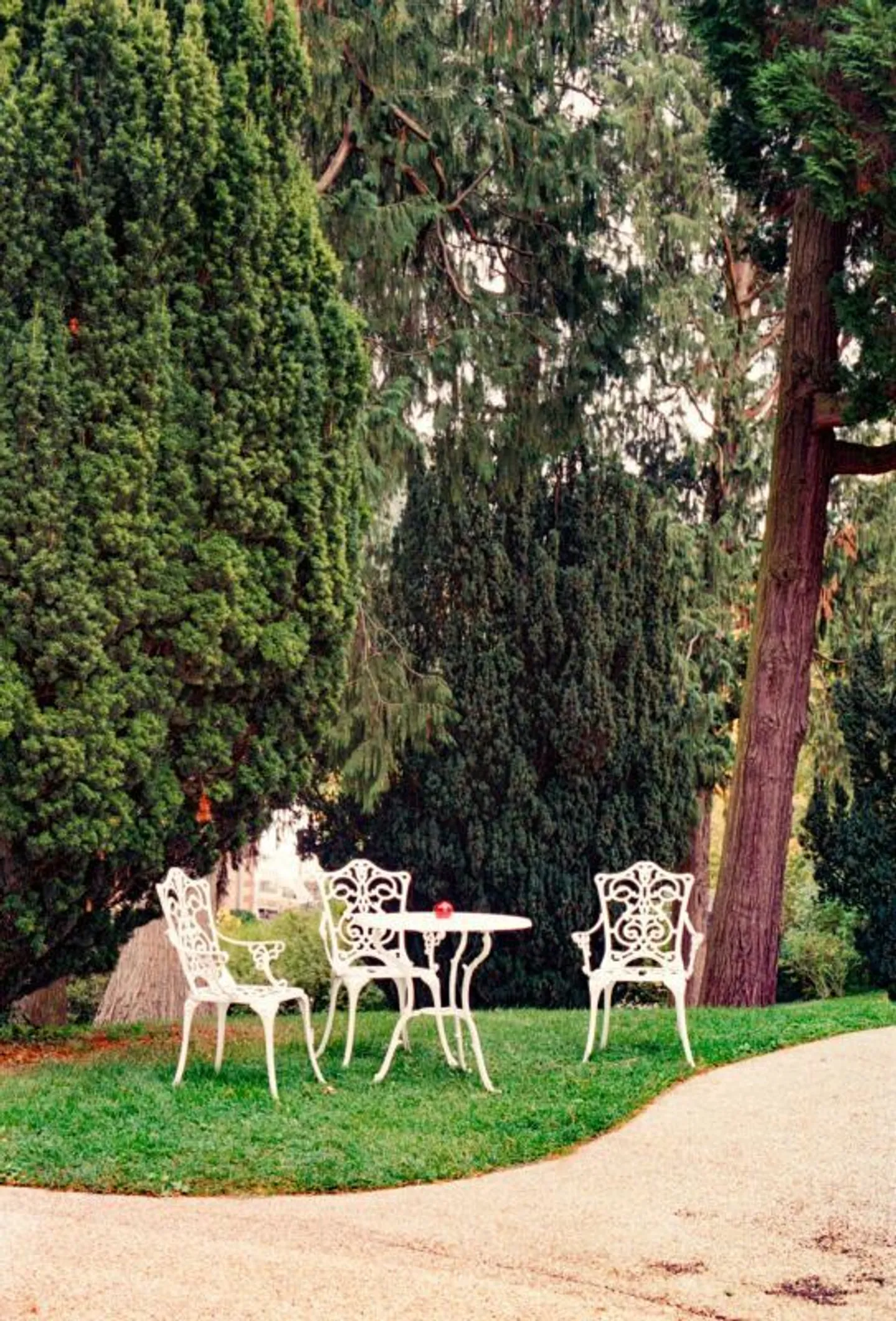 Appartamento elegante e di alta qualità in affitto - Foto 1 di 5