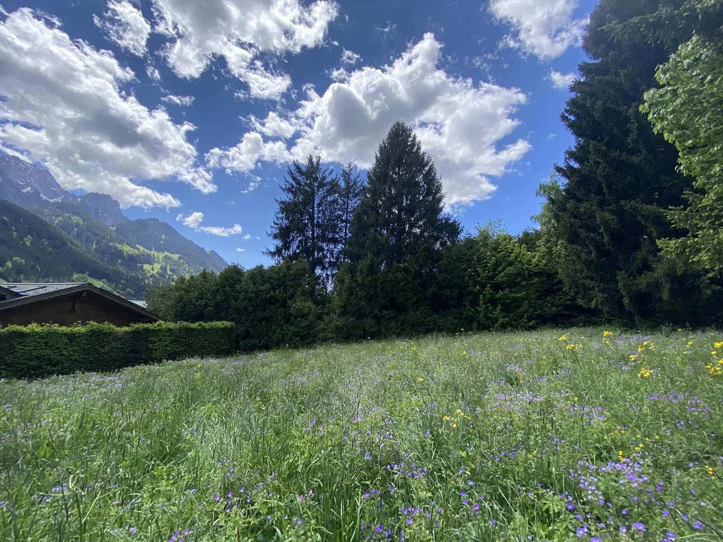 Building plot - Photo 7 of 9