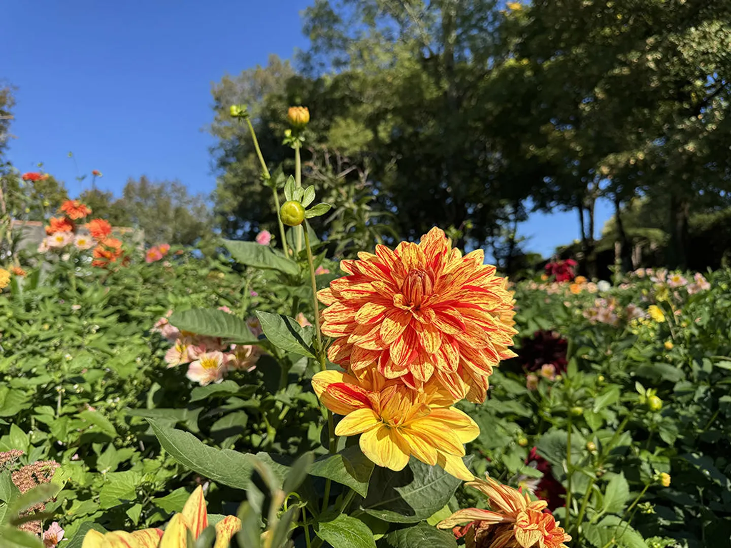Maison Jumelée Moderne - Photo 3 sur 3