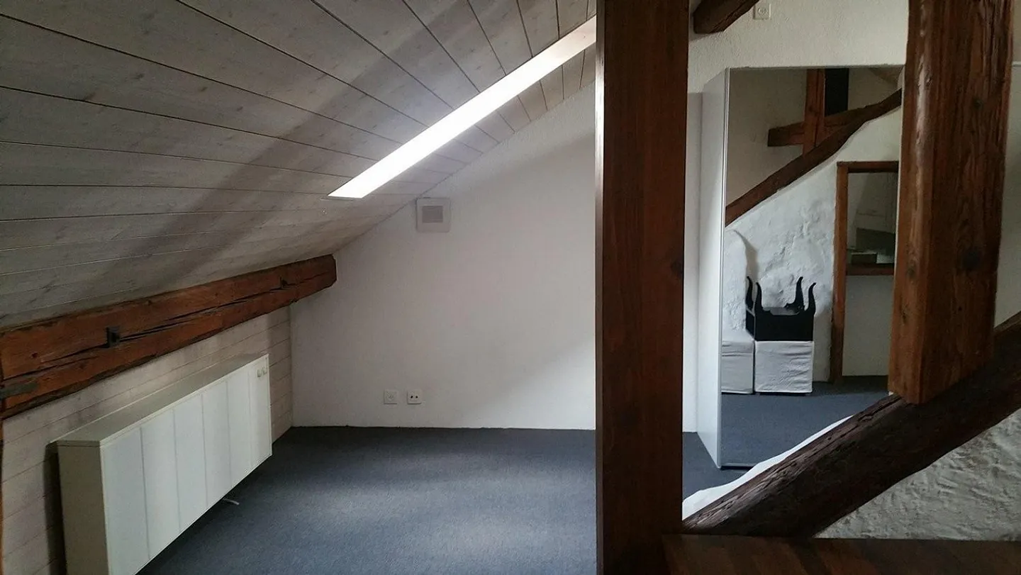 Appartamento loft 1 camera nella città vecchia di Berna - Foto 9 di 11