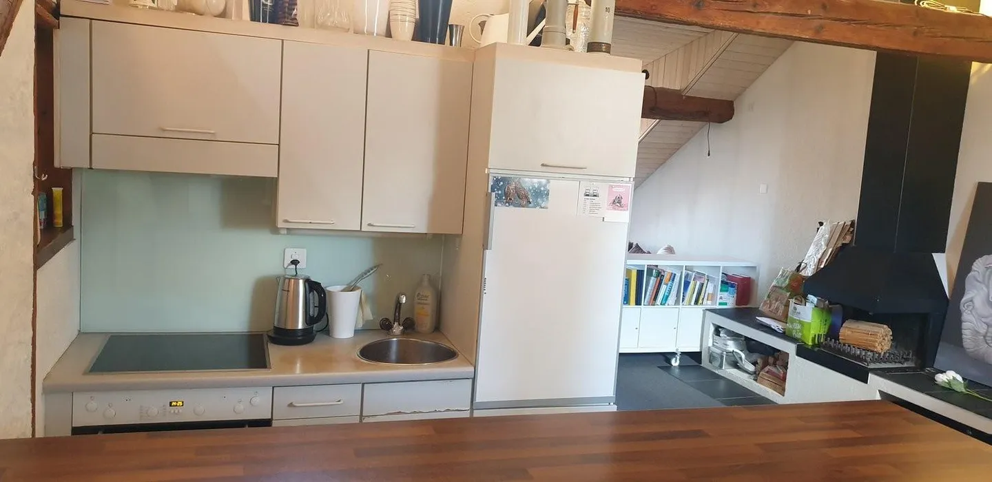 Appartamento loft 1 camera nella città vecchia di Berna - Foto 7 di 11