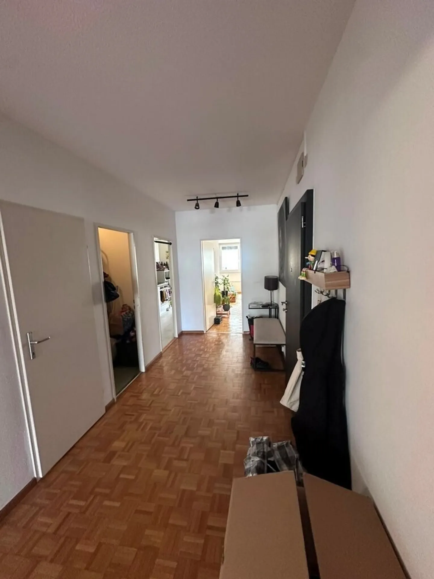 To seize! Splendid apartment in the heart of Geneva! - Photo 2 of 7