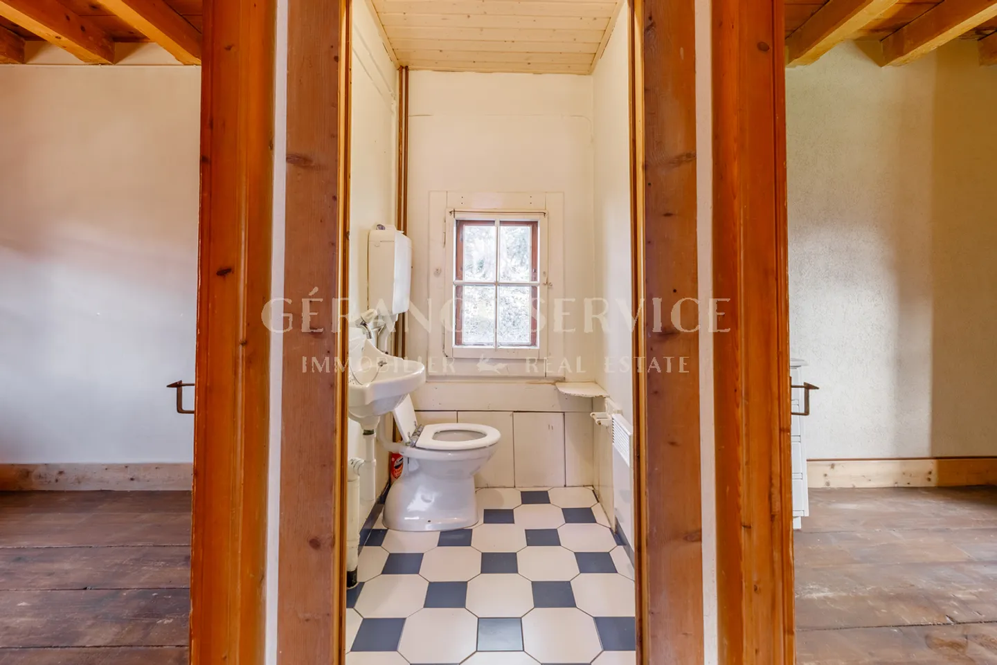 The Myosotis - Photo 15 of 26