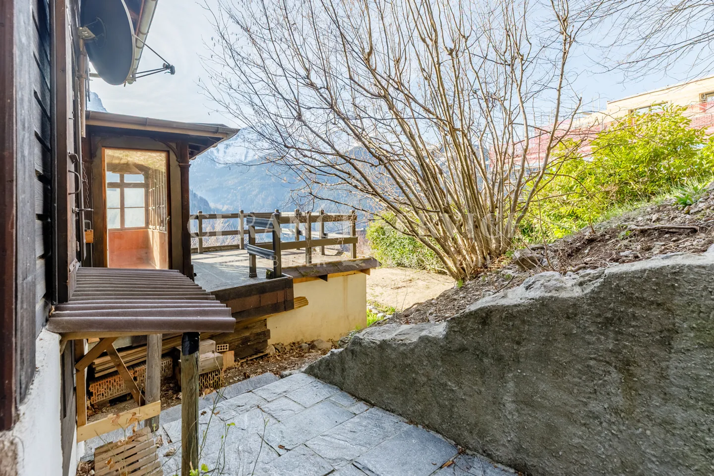 The Myosotis - Photo 22 of 26