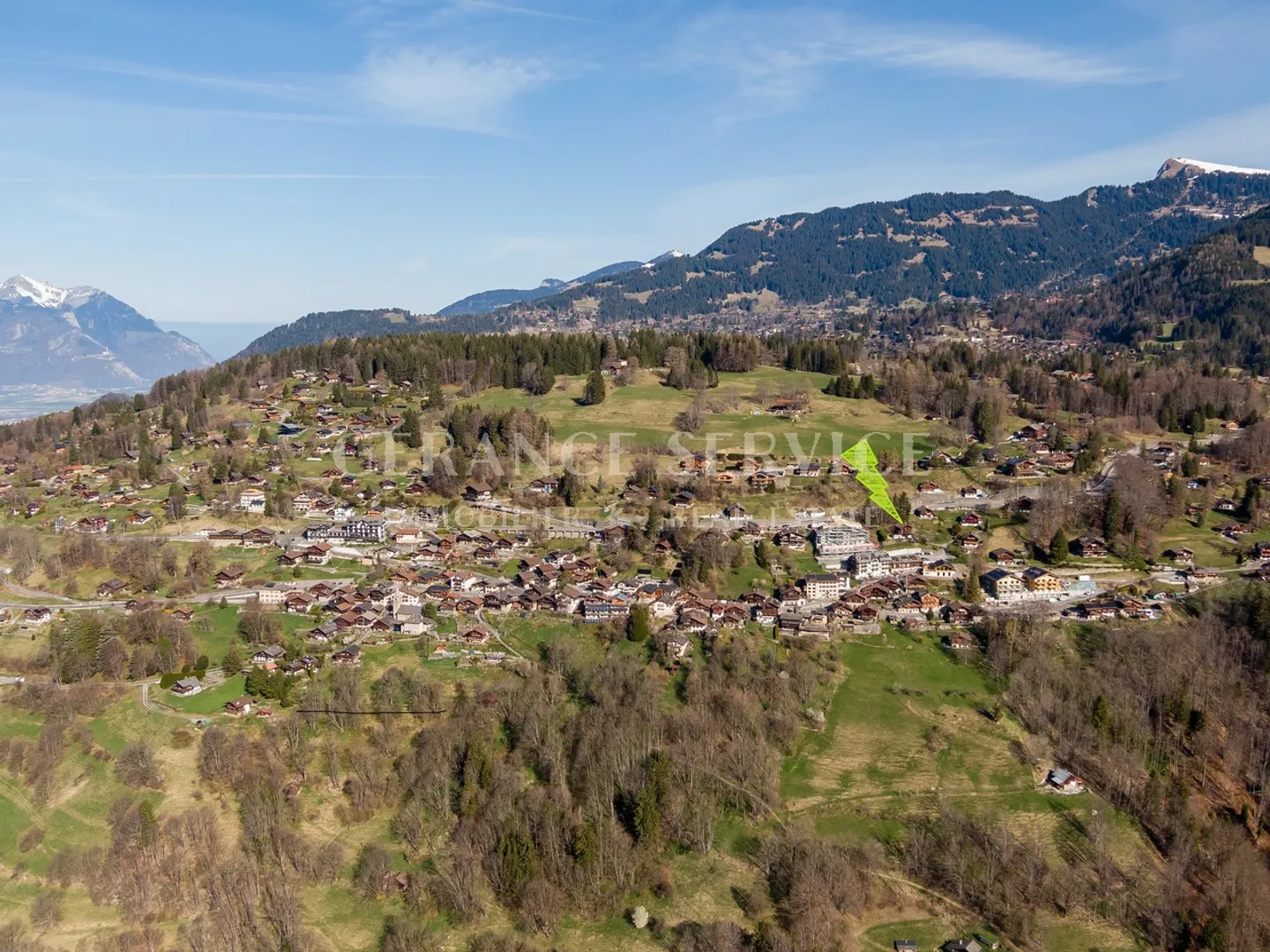 The Myosotis - Photo 24 of 26