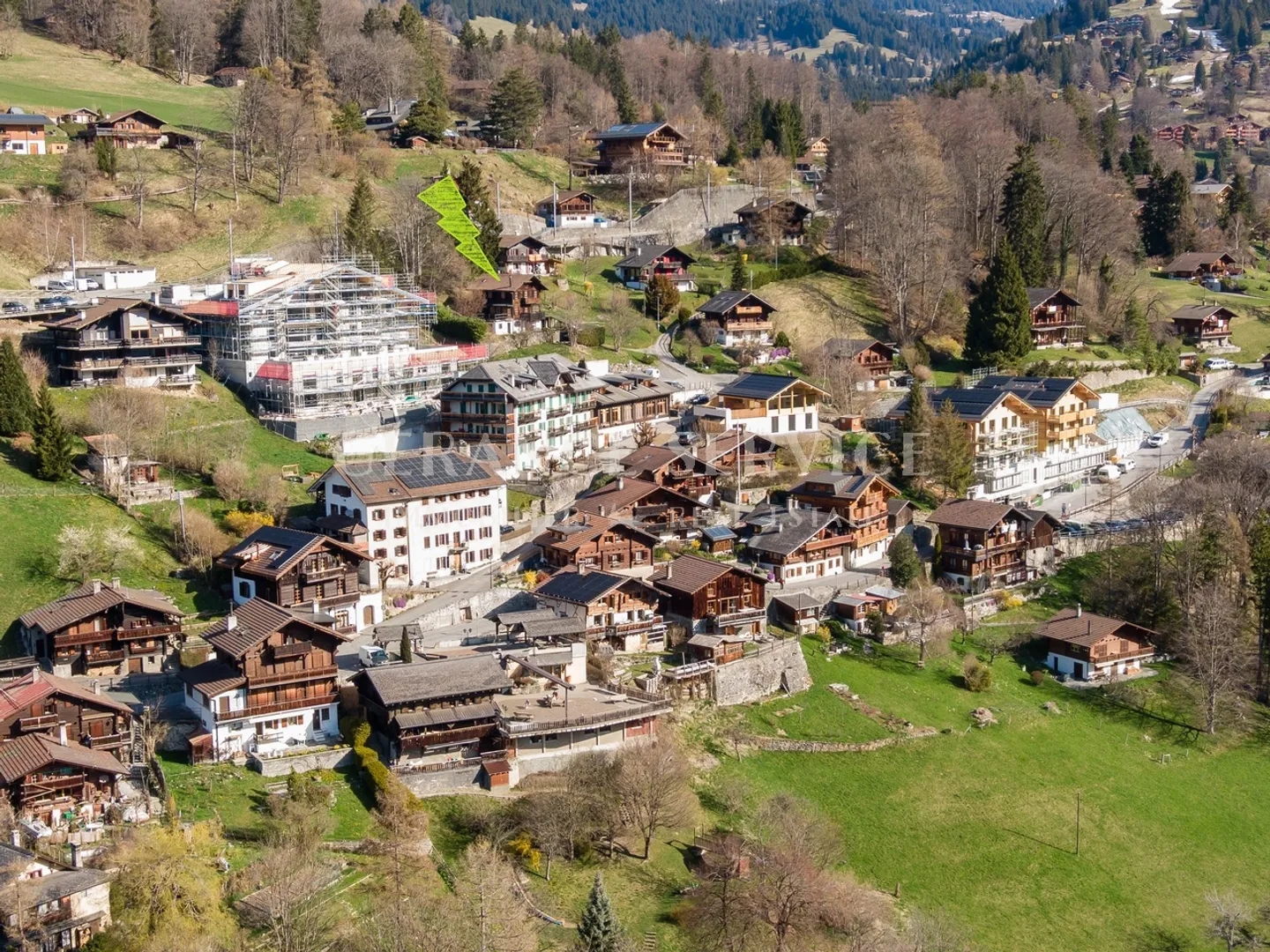 The Myosotis - Photo 25 of 26