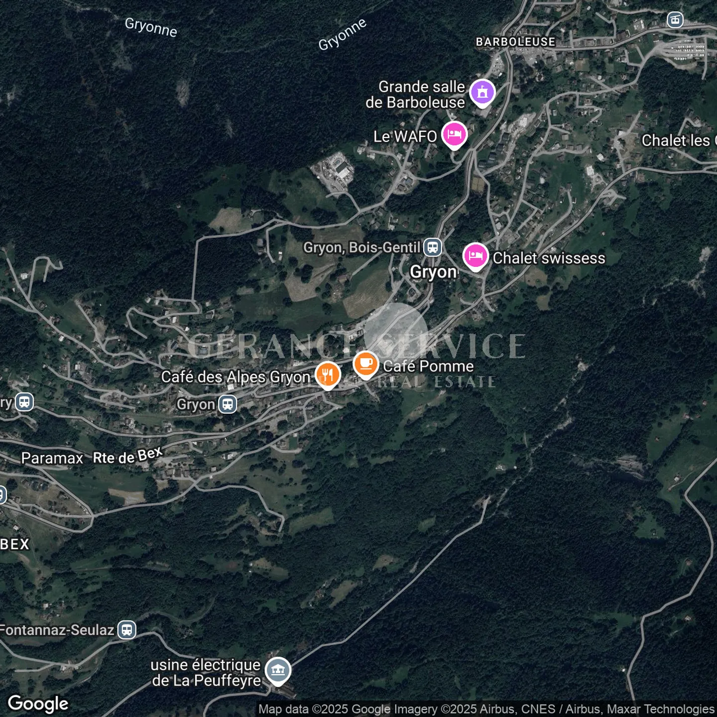 The Myosotis - Photo 26 of 26