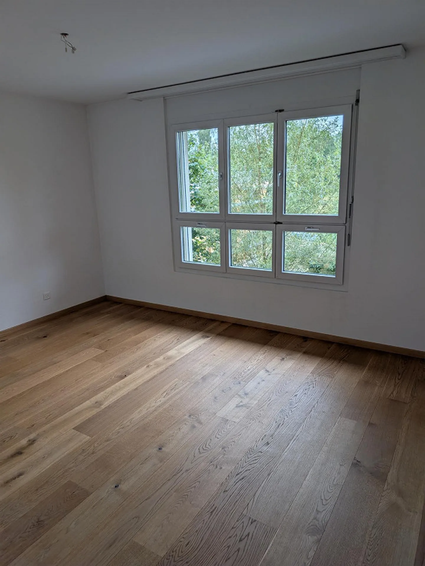 Charmante Wohnung in Wilen - Foto 11 von 16