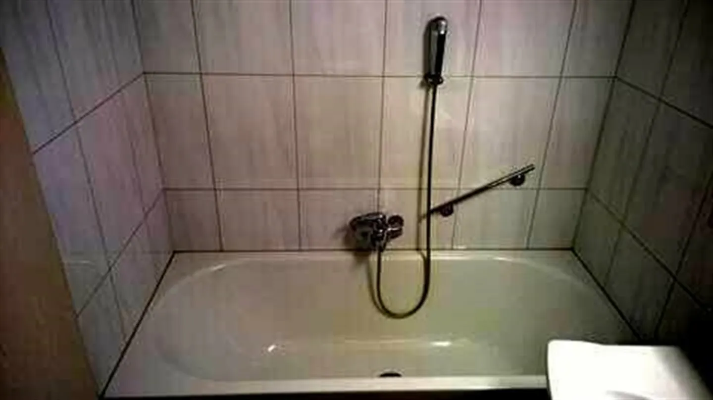 2½ ZI-WOHNUNG IN ST. GALLEN - ROSENBERG, MÖBLIERT, TEMPORÄR - Foto 8 von 10