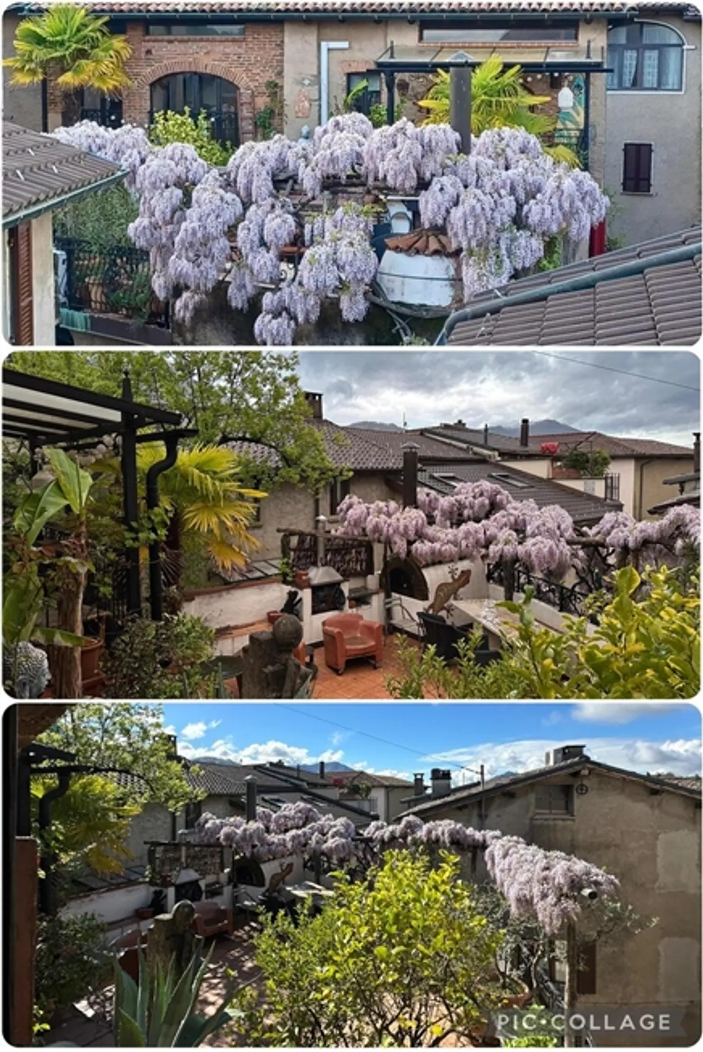 MAGNIFICENT THREE-FAMILY PATRICIAN HOUSE - Photo 2 of 17