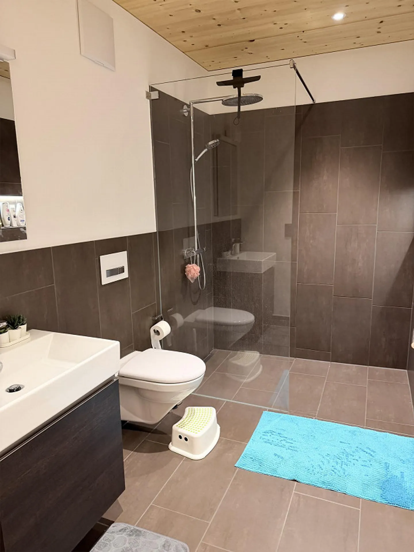 Modern 4.5-room apartment • 138 m² • Two private gardens in Küssnacht - Photo 19 of 19