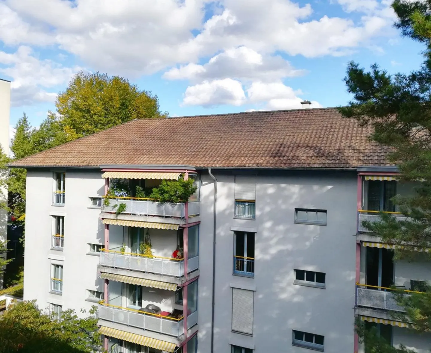 Geräumige Wohnung im Gellert - Foto 1 von 12