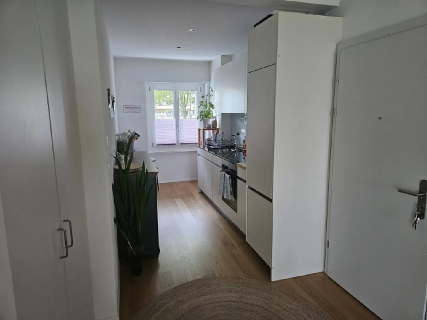 2½ ROOM APARTMENT IN BERN - BREITENRAIN, FURNISHED, TEMPORARY - Photo 3 of 7
