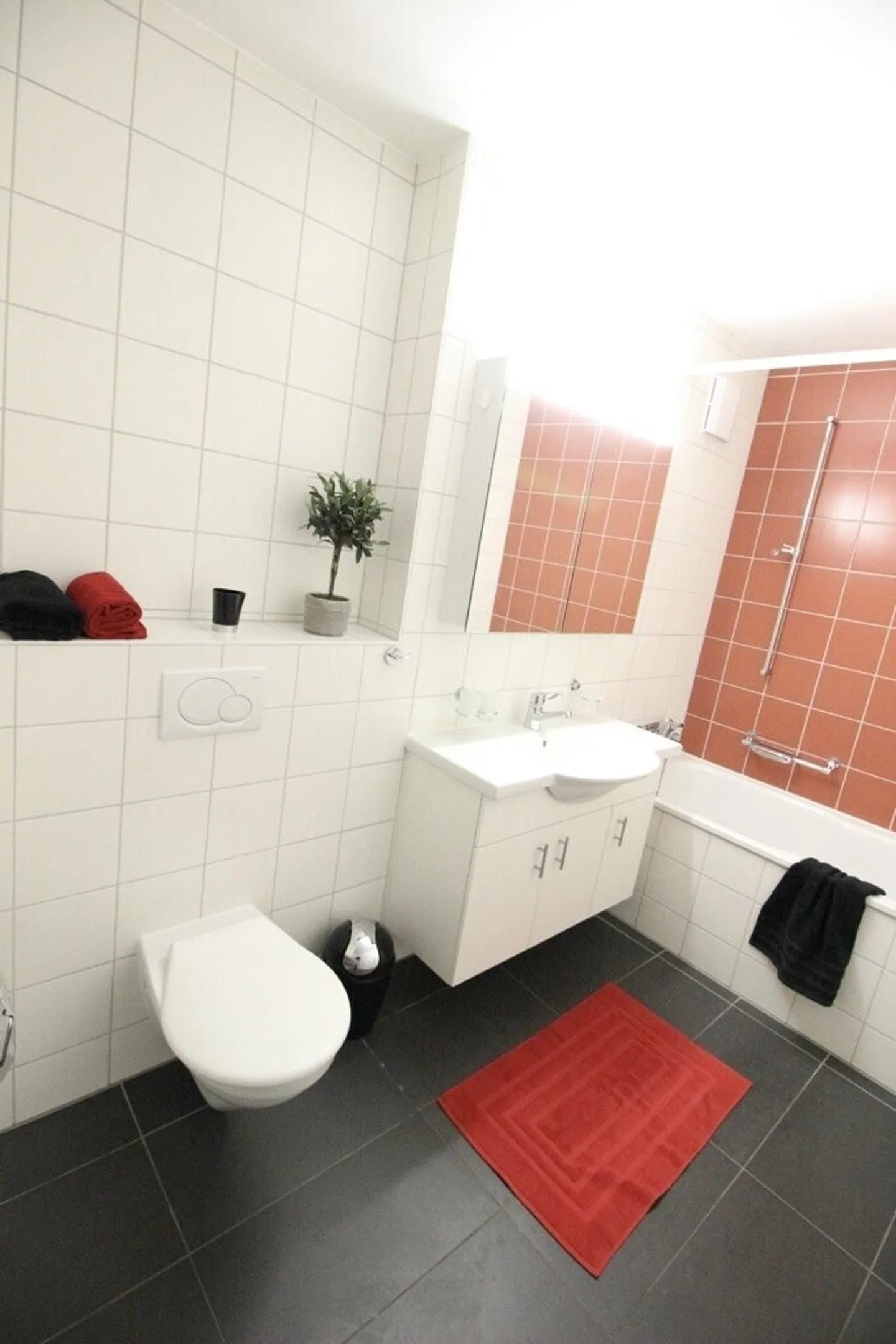 3,5 Zimmer Gehäuse - Foto 6 von 10