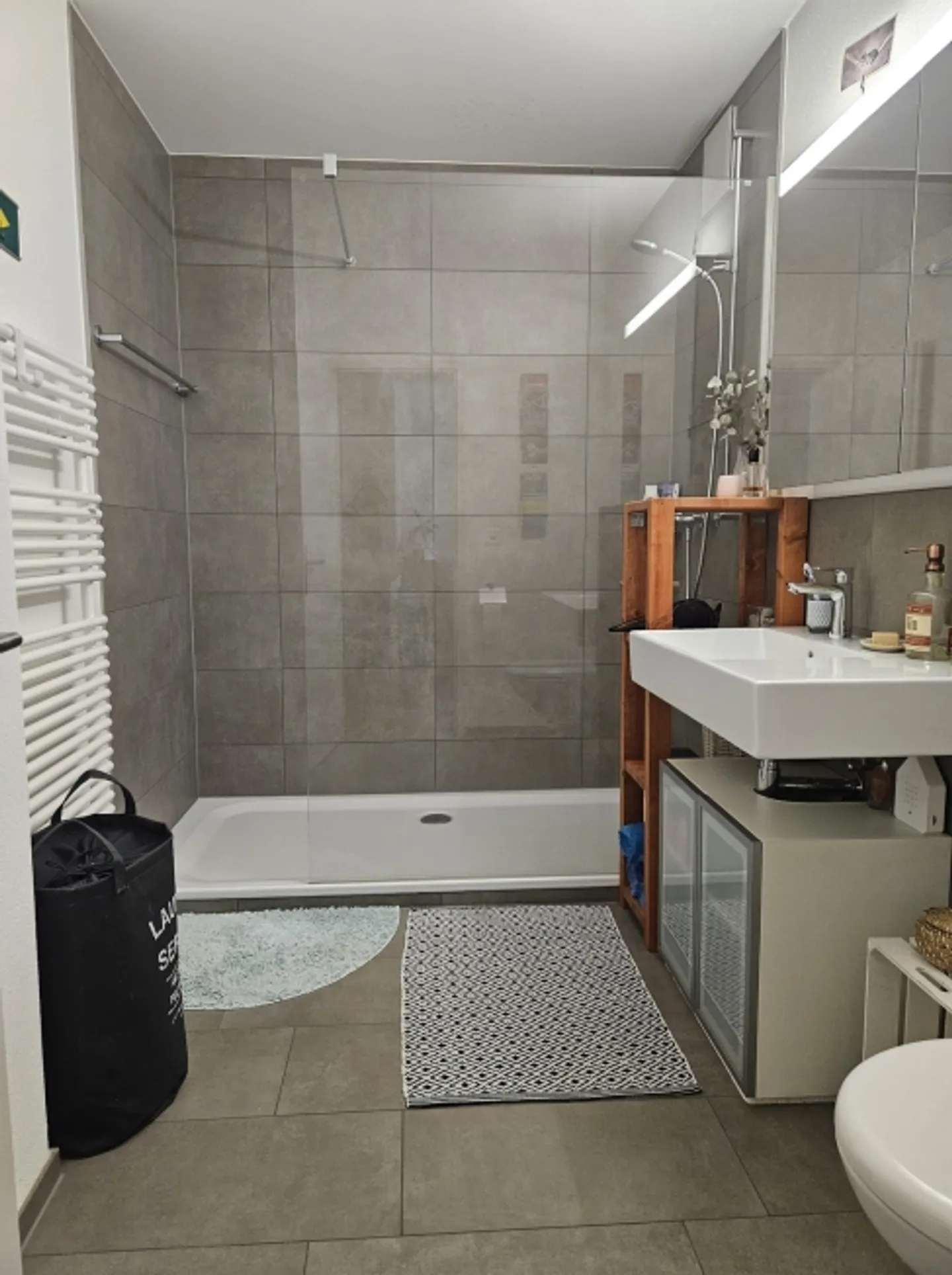 2½ ROOM APARTMENT IN BERN - BREITENRAIN, FURNISHED, TEMPORARY - Photo 6 of 7