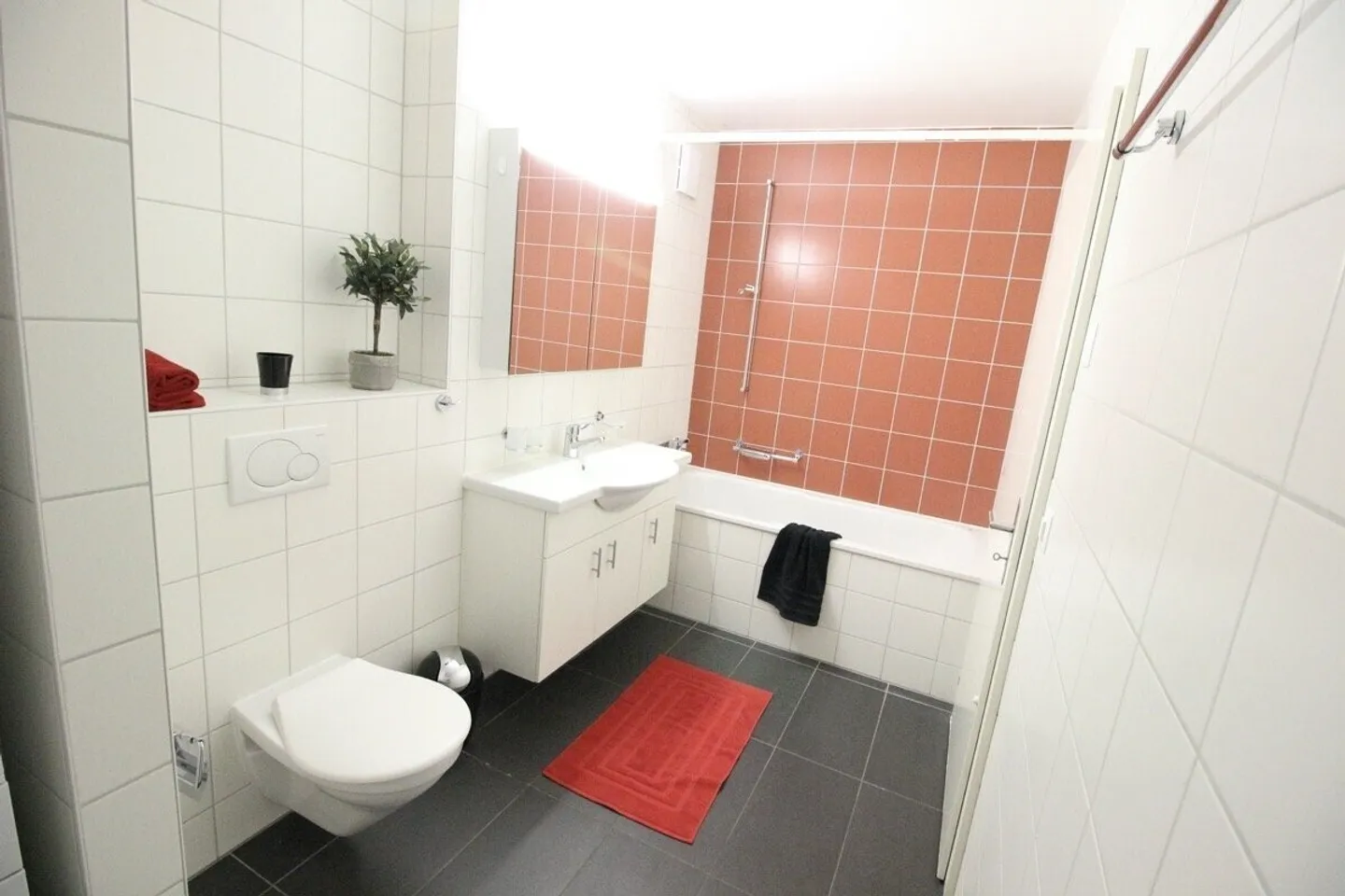 3,5 Zimmer Gehäuse - Foto 7 von 10