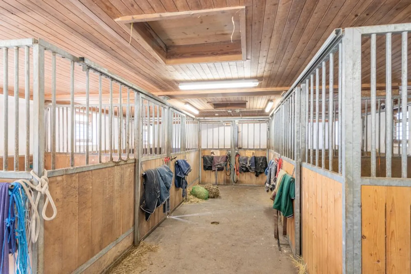 Fattoria Equestre Idyllica con Charme e Spazio - Foto 4 di 7