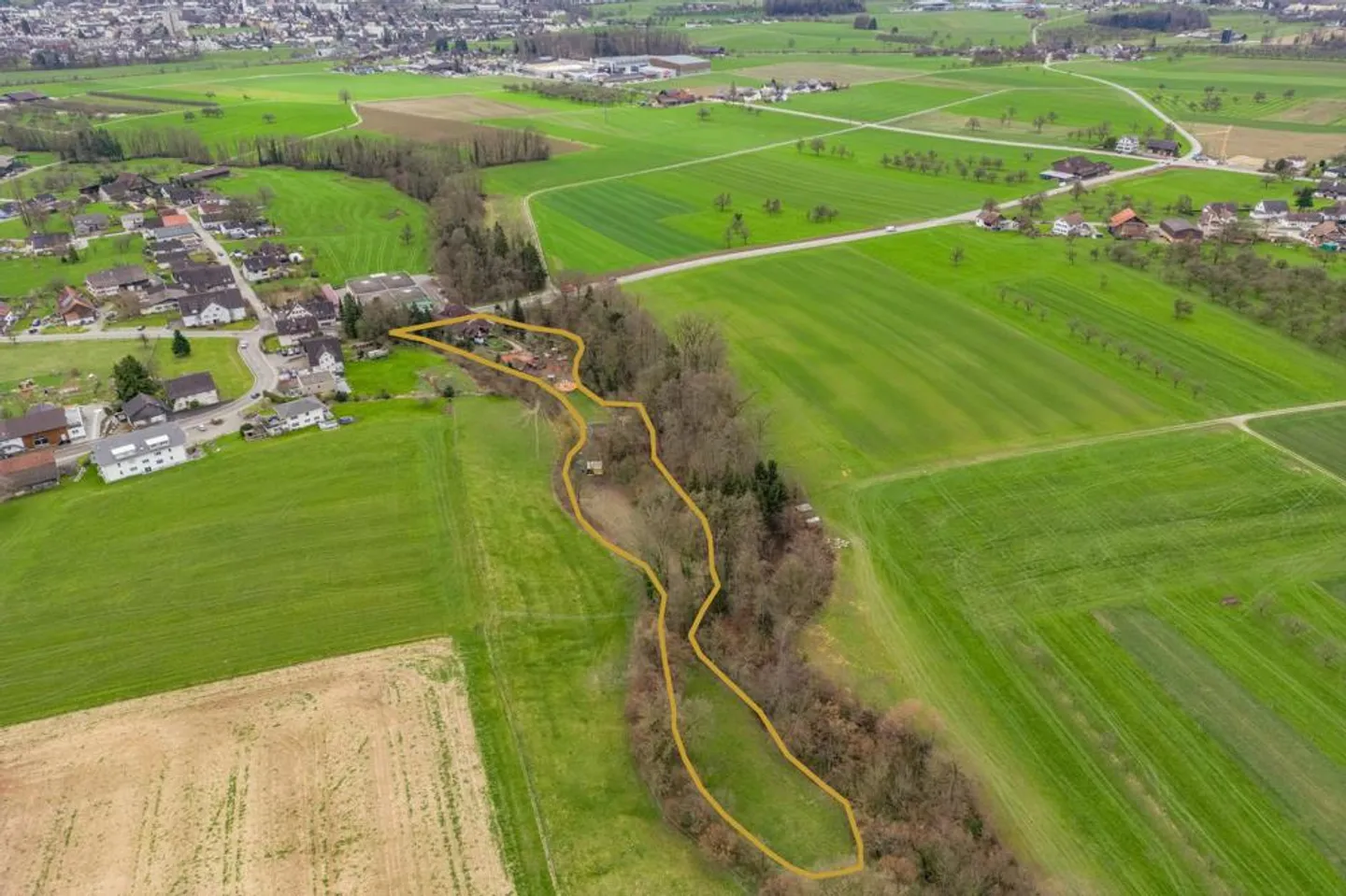 Fattoria Equestre Idyllica con Charme e Spazio - Foto 2 di 7