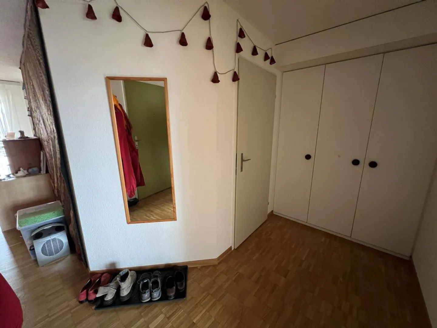 Apartment seeks single! - Photo 5 of 11