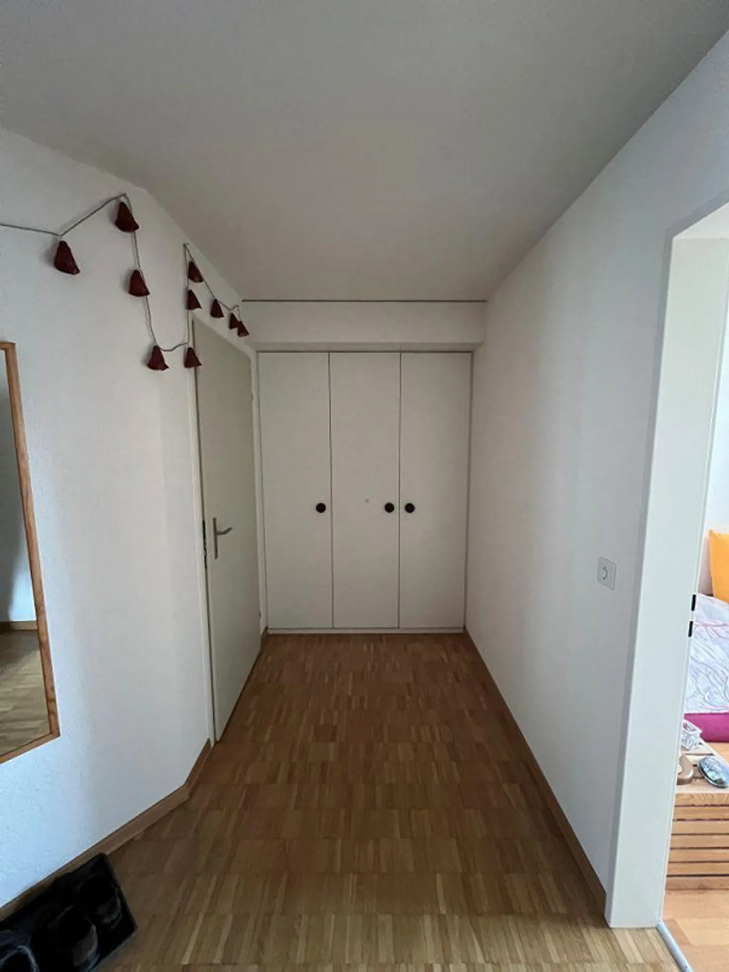 Apartment seeks single! - Photo 6 of 11