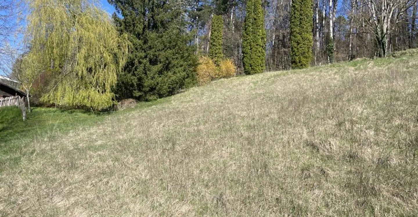 Land, Porrentruy - 455000 - Photo 2 of 3