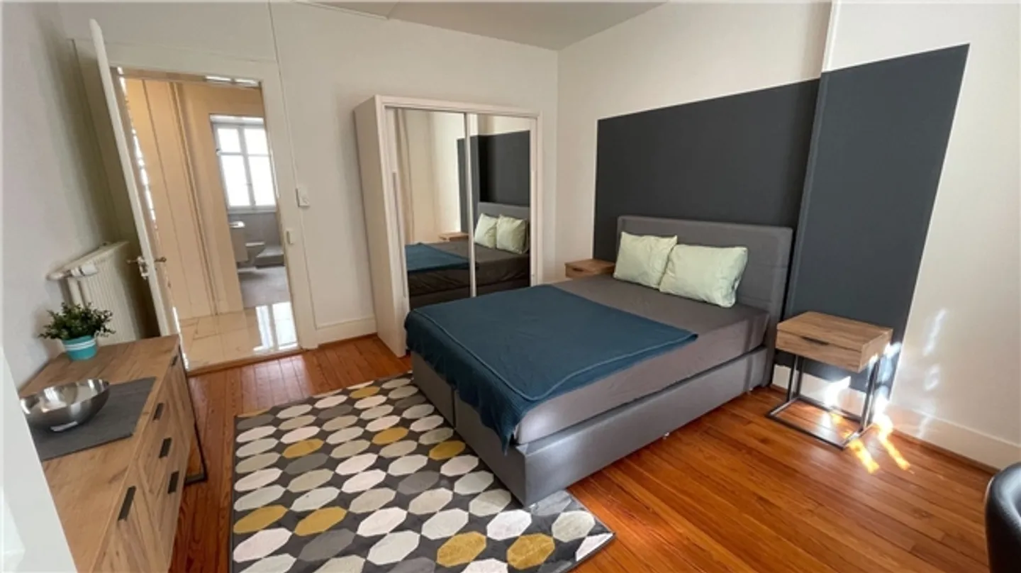 Charming Renovated Apartment in the Center of Lausanne - Photo 6 of 13