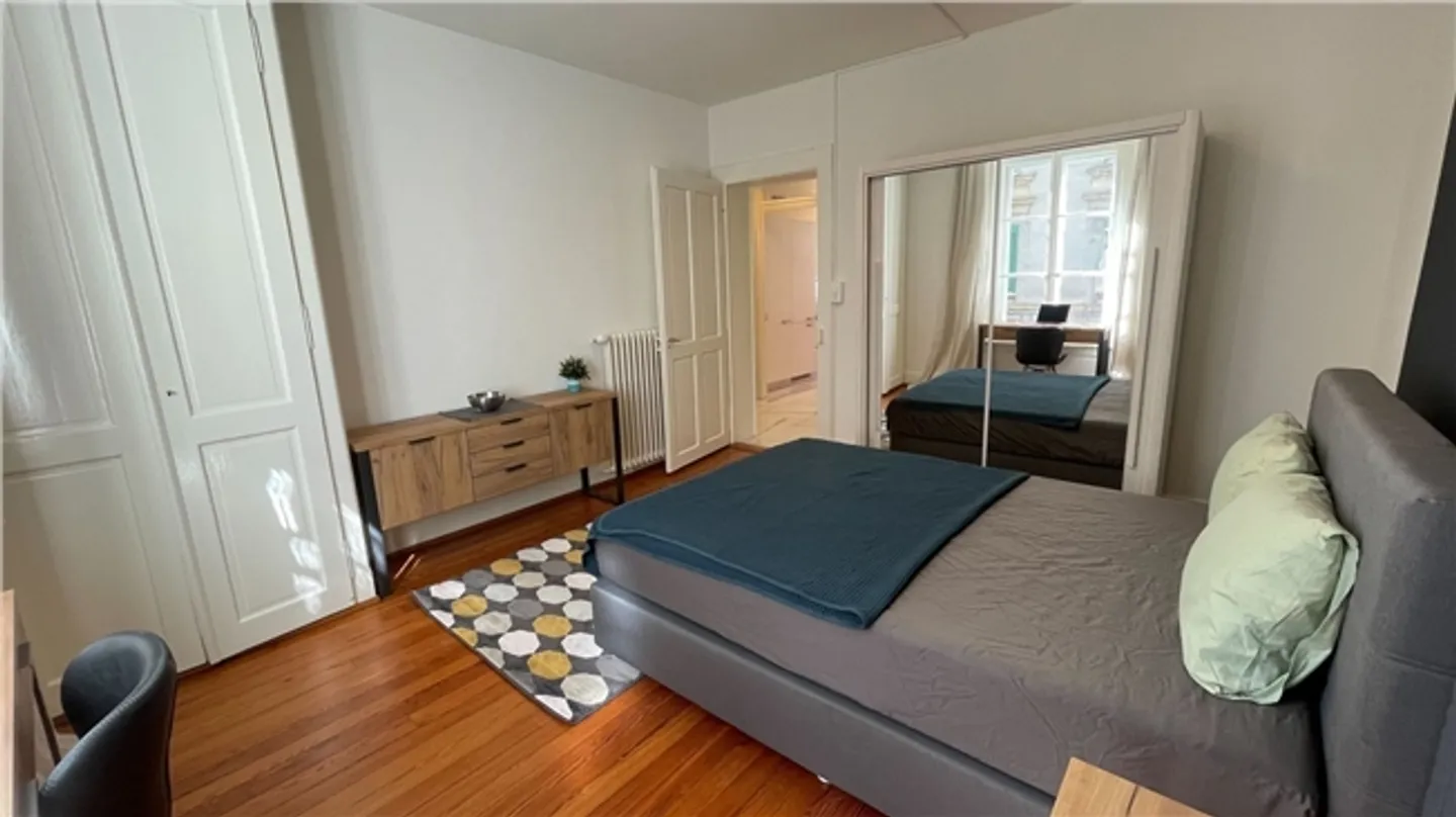 Charming Renovated Apartment in the Center of Lausanne - Photo 10 of 13