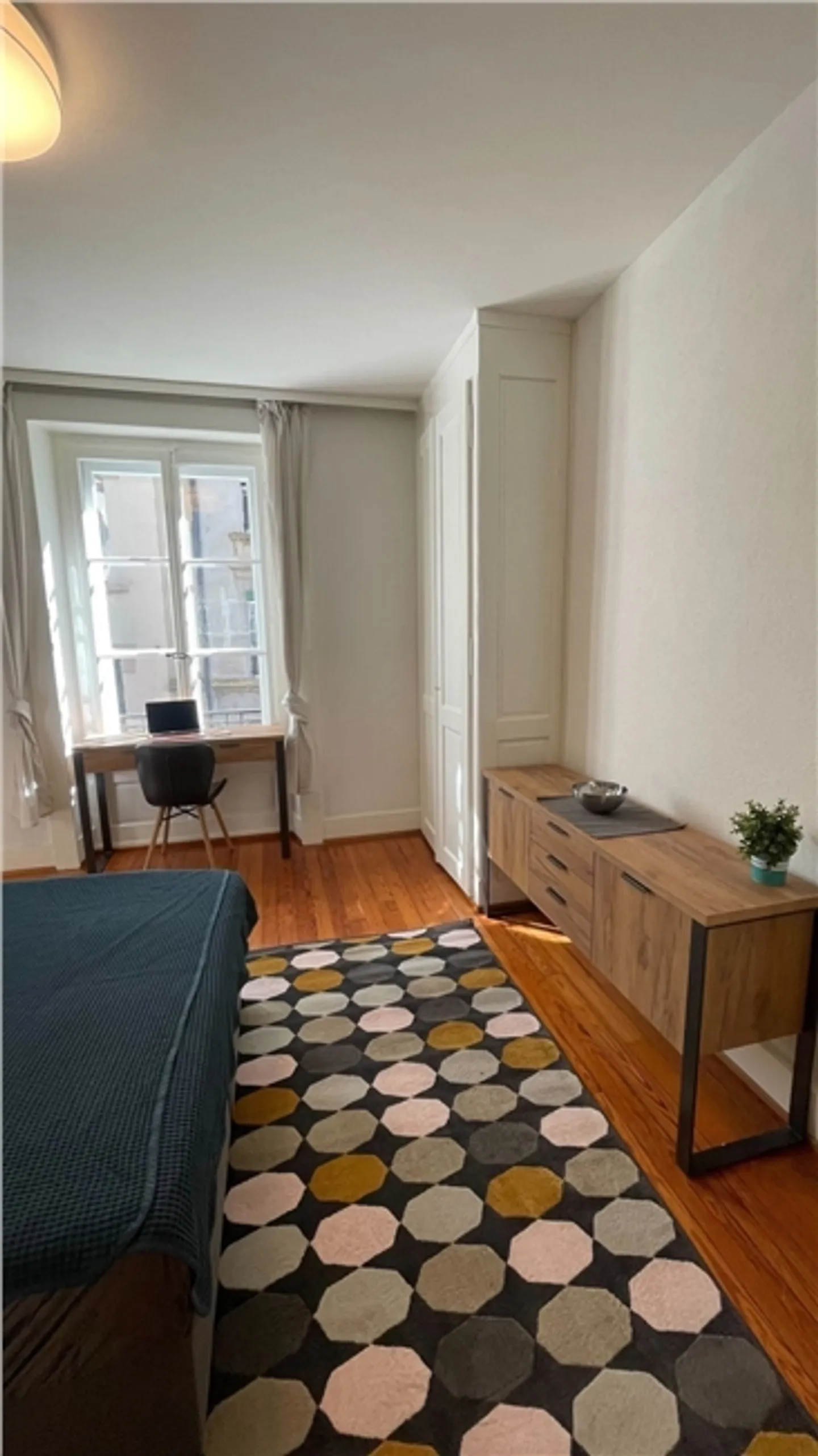 Charming Renovated Apartment in the Center of Lausanne - Photo 12 of 13