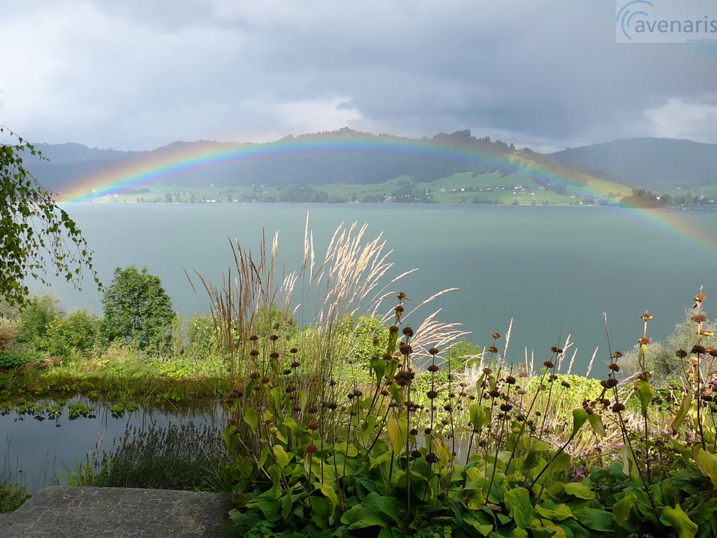 La tua casa da sogno con vista panoramica sul lago Sihl - Foto 1 di 8