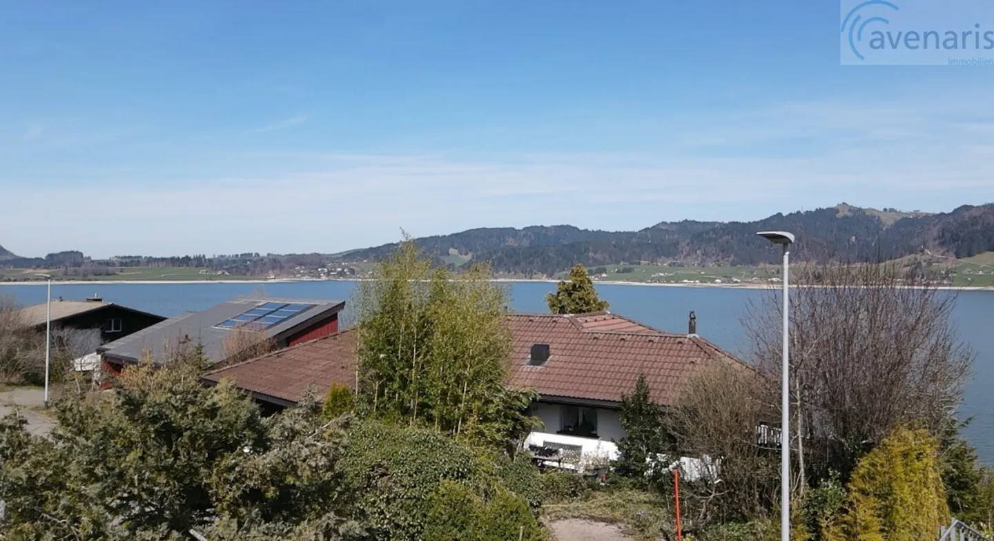 La tua casa da sogno con vista panoramica sul lago Sihl - Foto 5 di 8