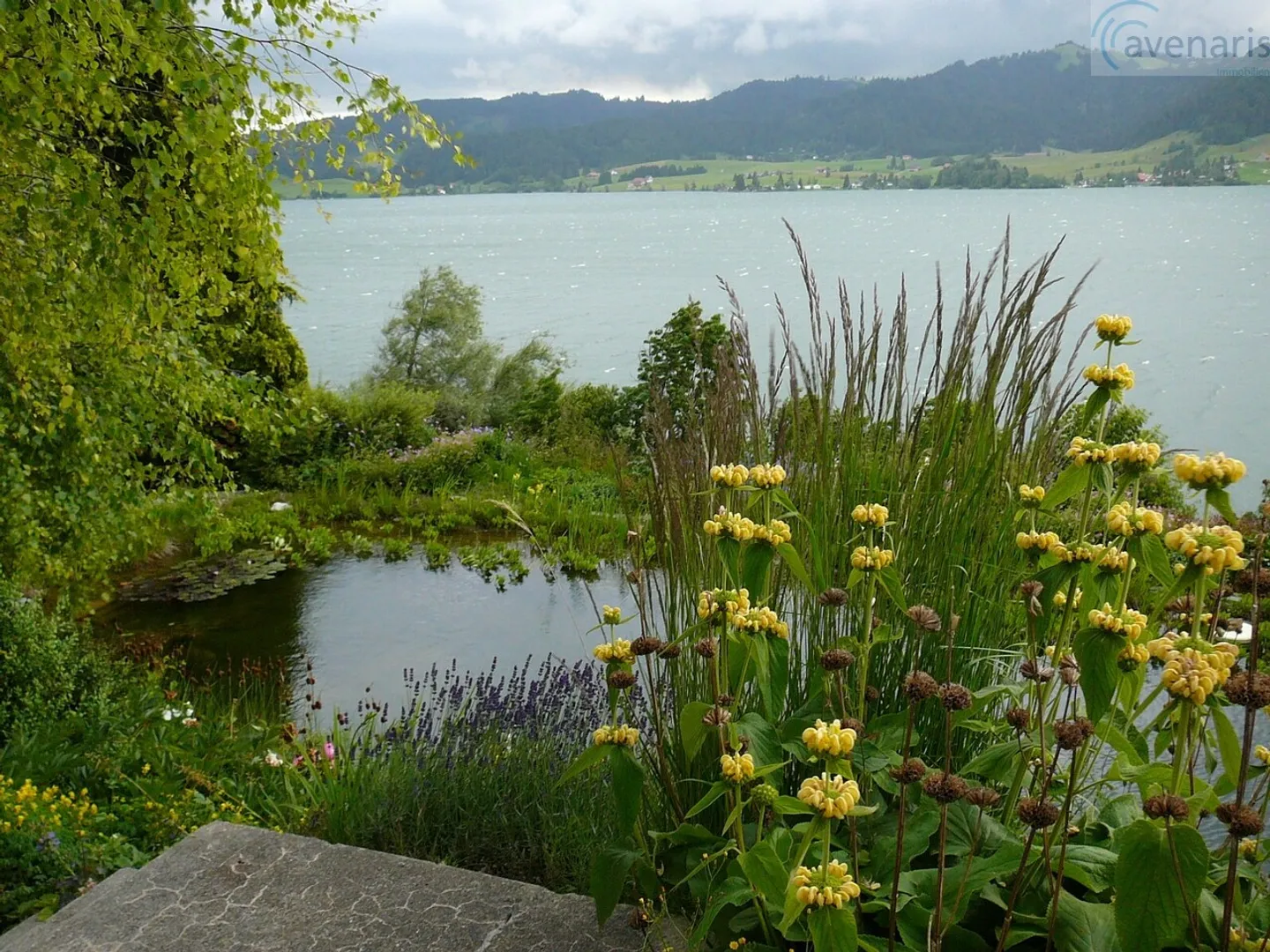 La tua casa da sogno con vista panoramica sul lago Sihl - Foto 6 di 8