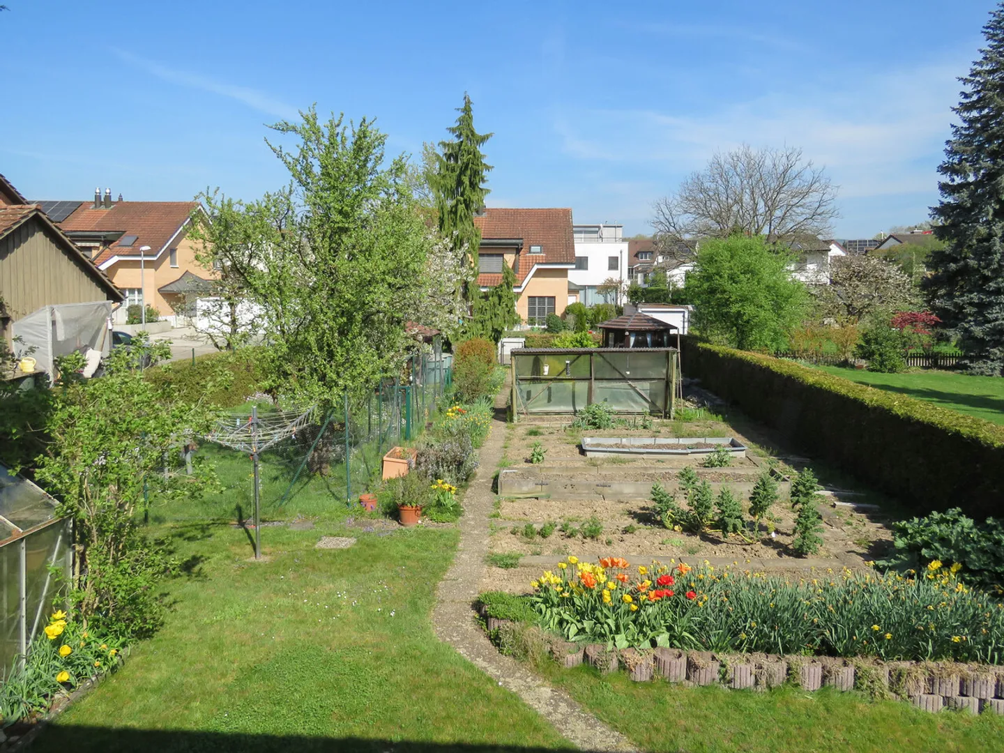 Looking for building land? - Photo 4 of 5