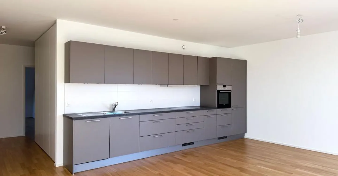 Exclusive! Magnificent penthouse in Chêne-Bourg - Photo 4 of 12