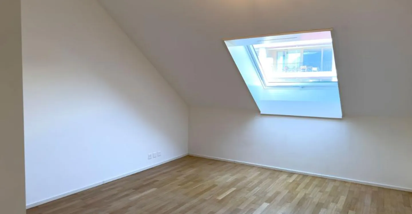 Exclusive! Magnificent penthouse in Chêne-Bourg - Photo 7 of 12
