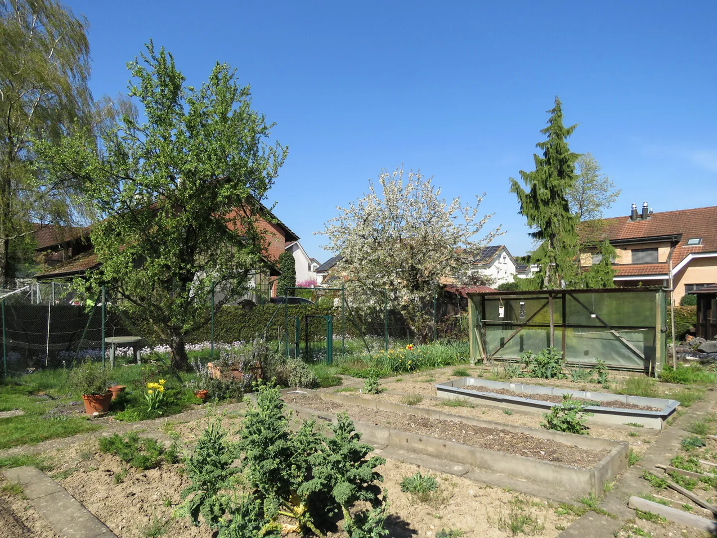 Looking for building land? - Photo 5 of 5