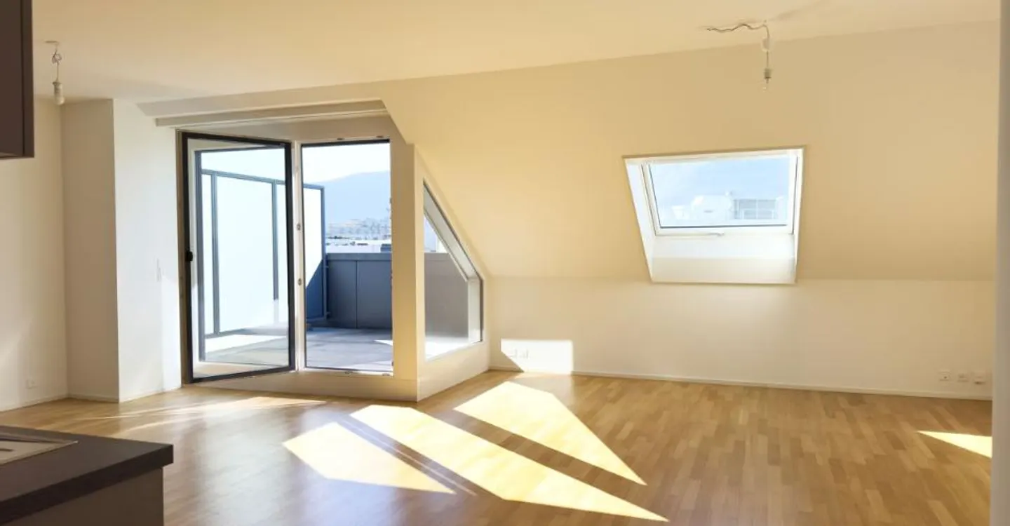 Exclusive! Magnificent penthouse in Chêne-Bourg - Photo 5 of 12